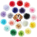 WILLBOND dog collar flowers front view multicolored pet grooming accessories