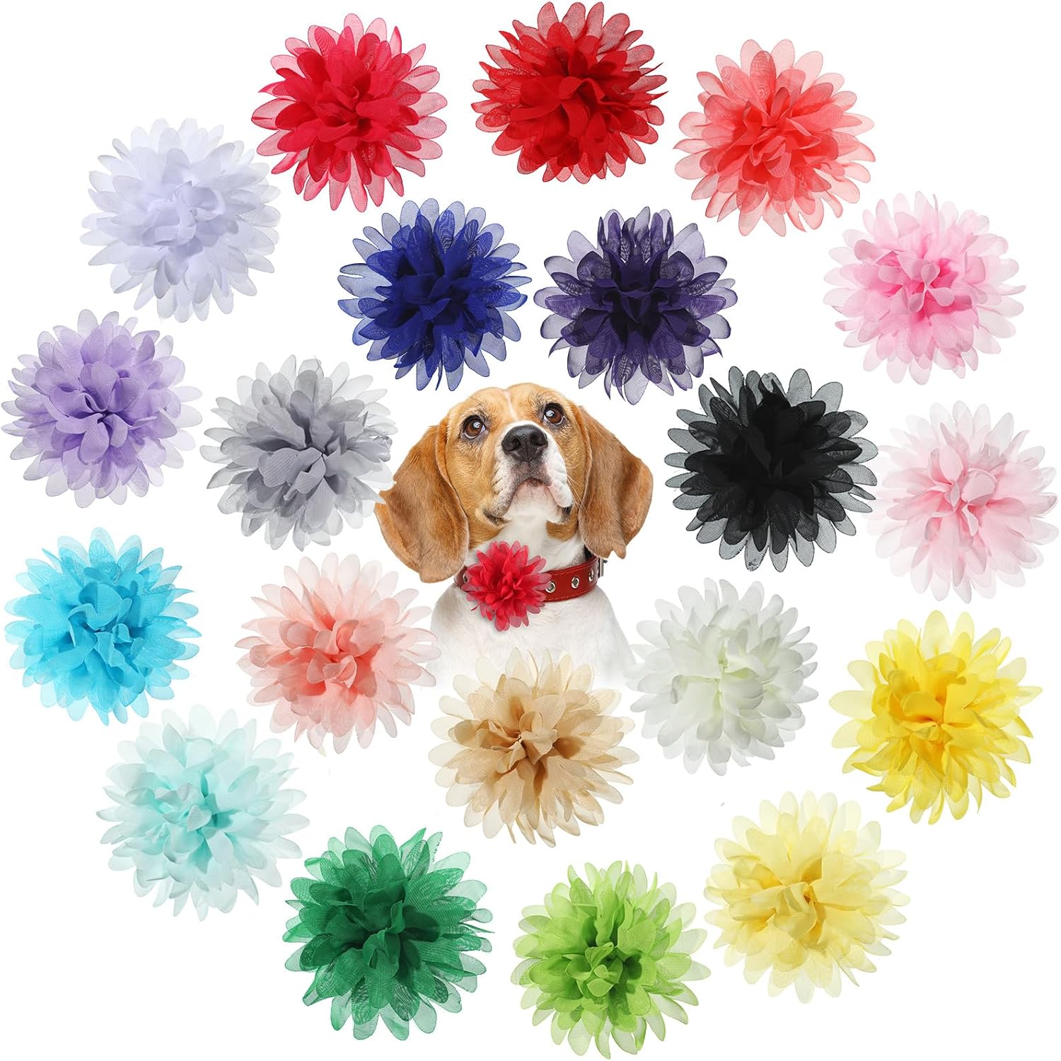 WILLBOND dog collar flowers front view multicolored pet grooming accessories