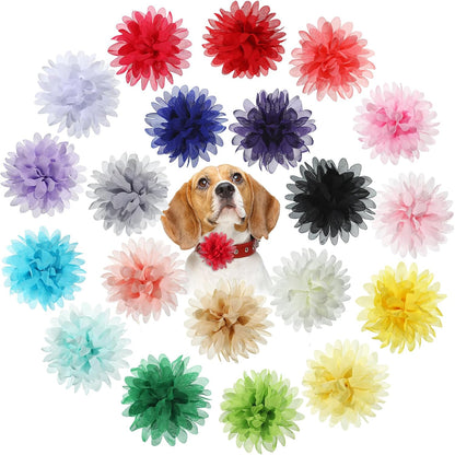 WILLBOND dog collar flowers front view multicolored pet grooming accessories