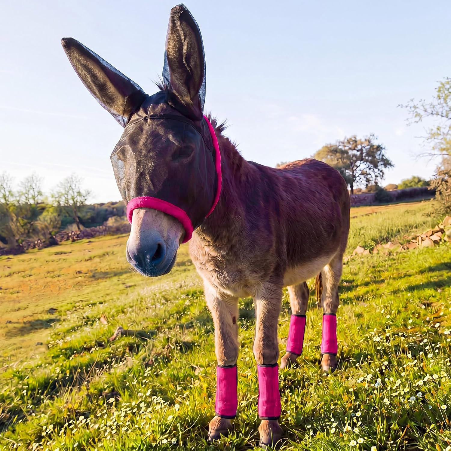 SHOOFLY mini donkey fly mask with ears rose red front view insect protection gear
