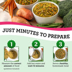 Bowl of prepared Dr. Harvey's salmon recipe dog food