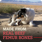 Close up of Redbarn cheese and bacon filled beef femur dog chew