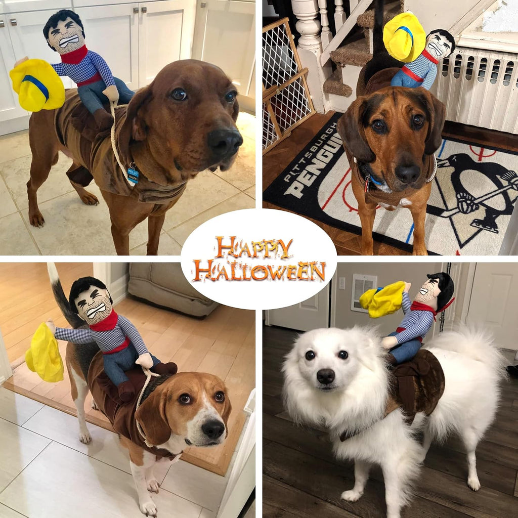 DELIFUR funny pet Halloween cowboy rider suit close up