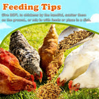 Amzey pet food supplement packaging side angle