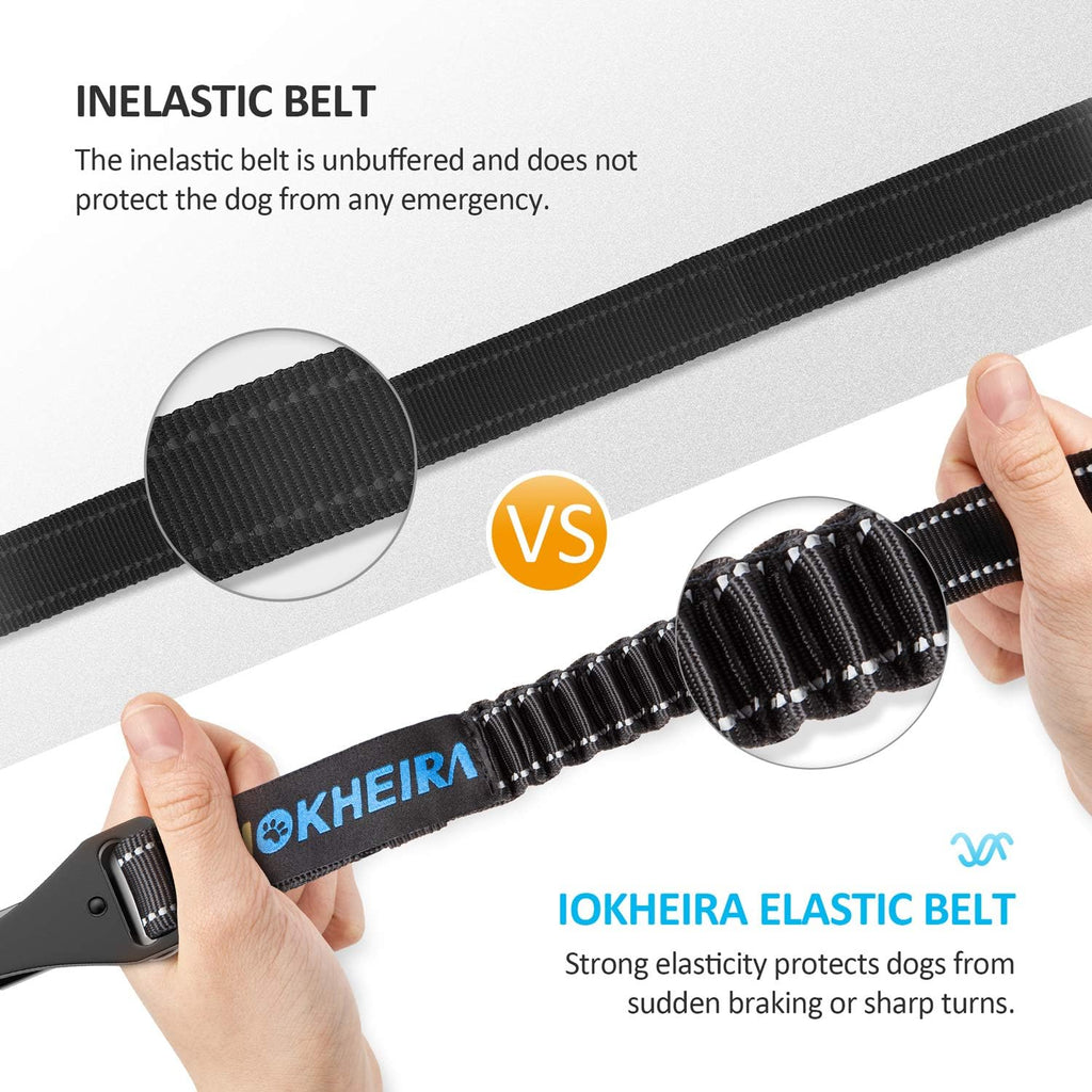 Reflective stitching detail on Iokheira dog seat belt