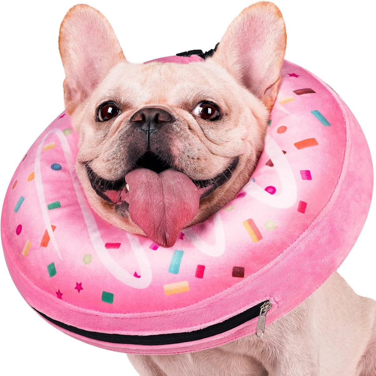 Didopet inflatable dog cone pink donut collar front view on pet