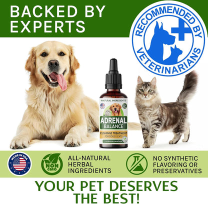TwoFurFinds herbal drops for pet metabolism and hormone balance support.