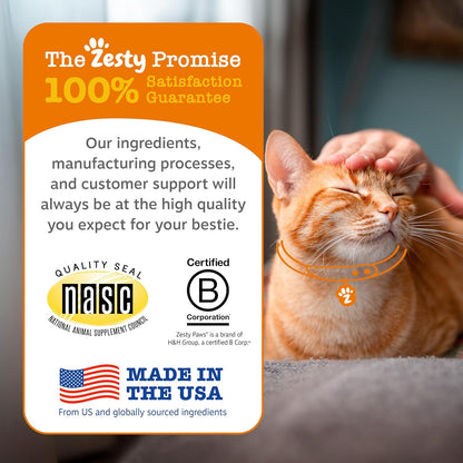 Lifestyle shot of a happy cat near Zesty Paws supplement jar