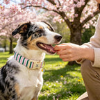 Side view of Elegant Little Tail cute pink dog collar