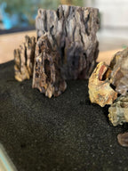 Aquarium setup featuring Aqua Natural Galaxy black substrate backdrop