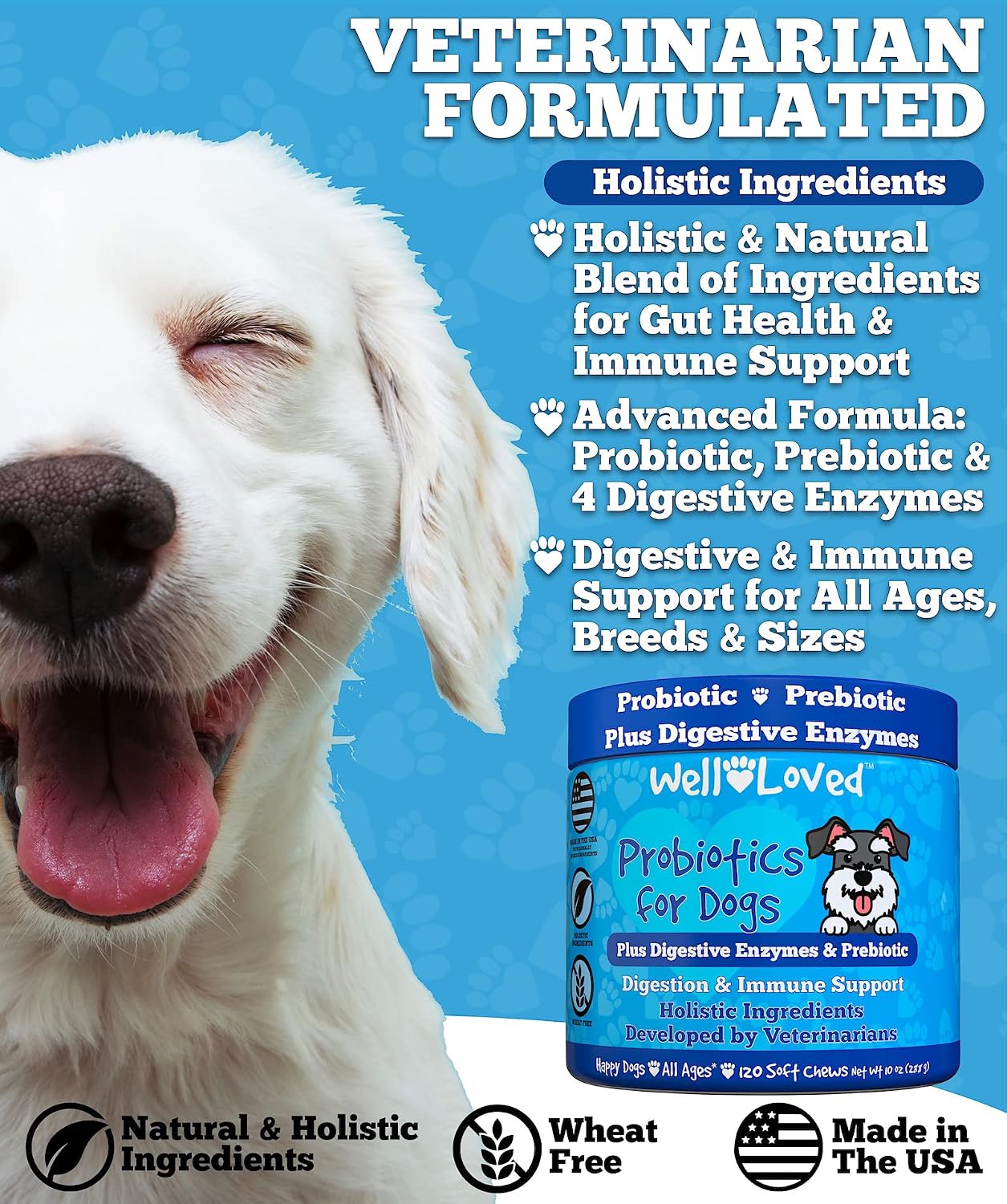 Premium USA imported dog digestive enzymes and prebiotics soft chews for yeast balance