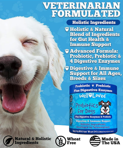 Premium USA imported dog digestive enzymes and prebiotics soft chews for yeast balance