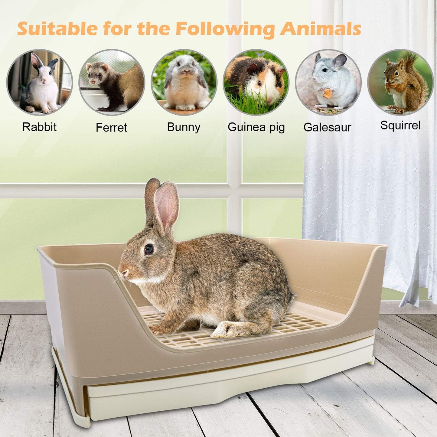 Side view of Bwogue large pet pan tray