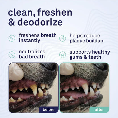 Petpost dental foam for dog teeth cleaning