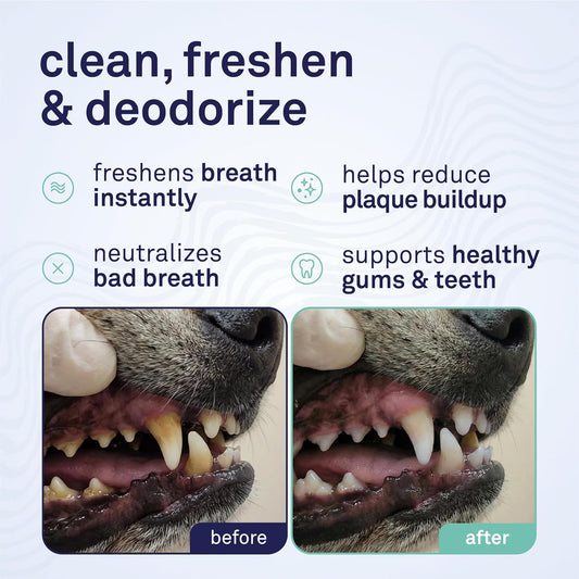 Petpost dental foam for dog teeth cleaning