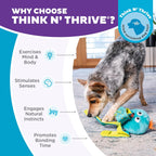 Educational packaging of Nina Ottosson enrichment dog toy