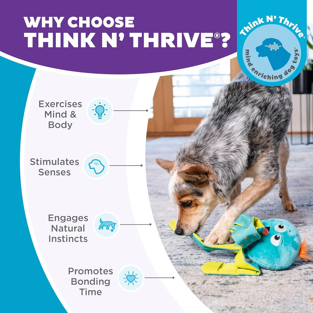 Educational packaging of Nina Ottosson enrichment dog toy