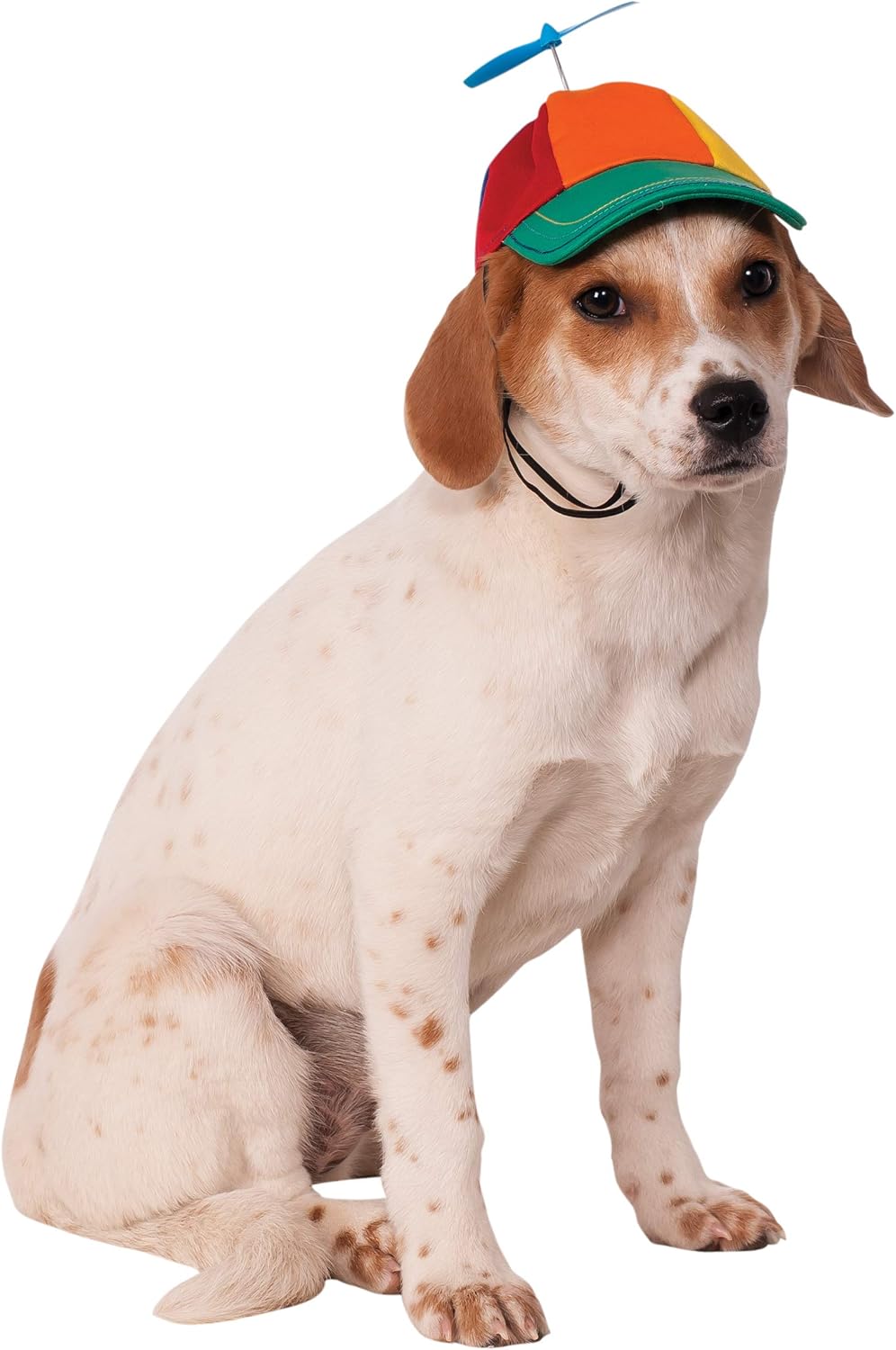 Rubie's Propeller Hat for pets front view on a small dog