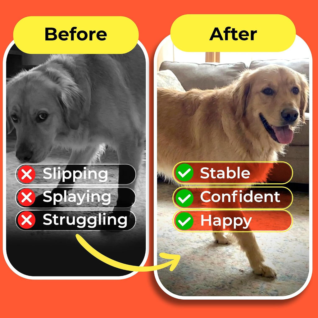 Instructions for applying traction pads to dog paws