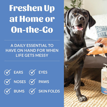 Deodorizing unscented pet wipes for cleansing sensitive skin folds and faces gently.