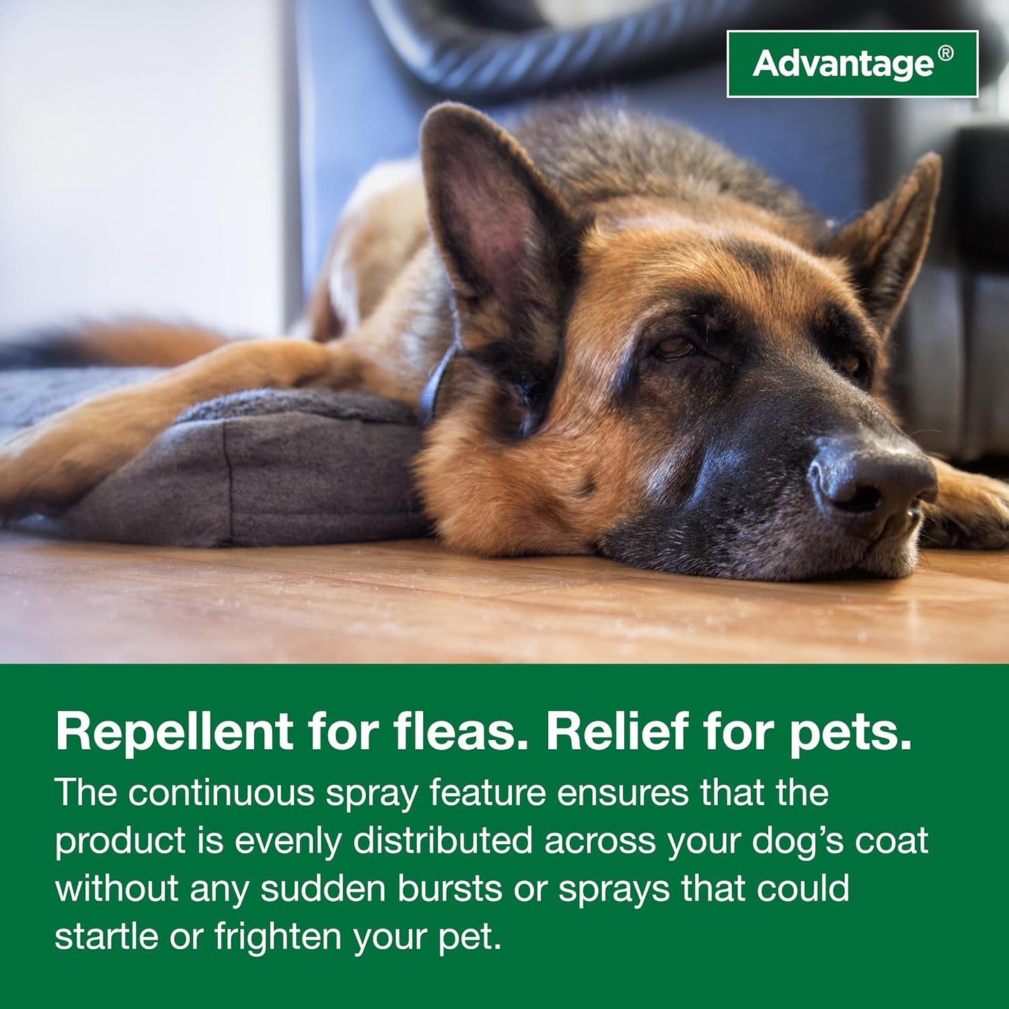 Advantage Dog Flea Treatment Spray | Kills Fleas & Ticks | Dog Flea Spray | 15 oz. - Image 9