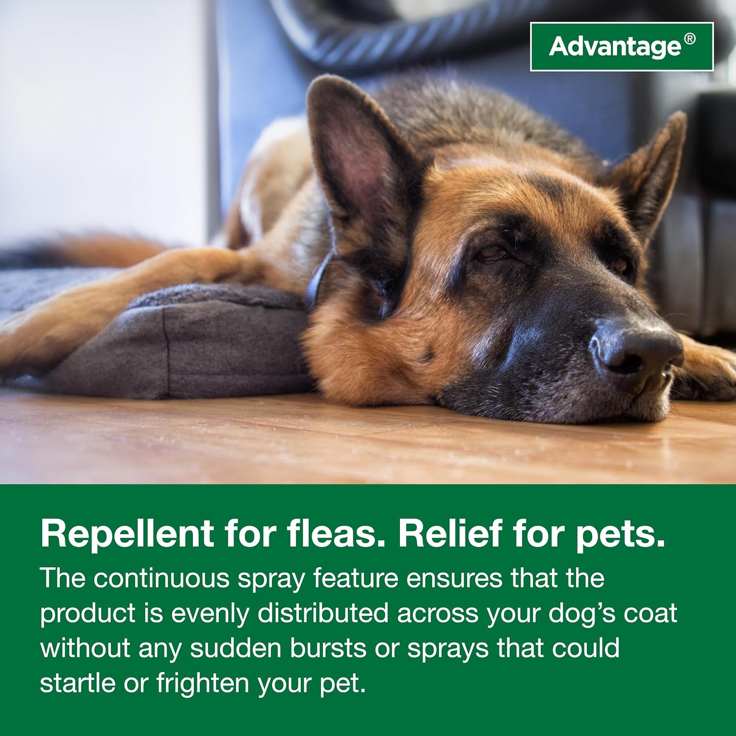 Advantage Dog Flea Treatment Spray | Kills Fleas & Ticks | Dog Flea Spray | 15 oz. - Image 9