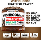 Chicken flavored Vet Promise dog chews formulation for pet gut health and cognitive function