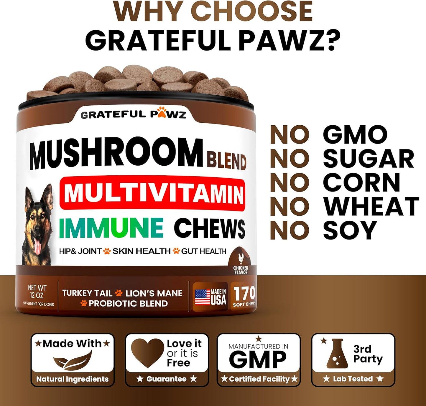 Chicken flavored Vet Promise dog chews formulation for pet gut health and cognitive function