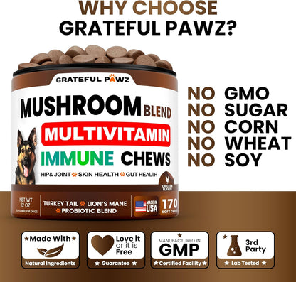 Chicken flavored Vet Promise dog chews formulation for pet gut health and cognitive function