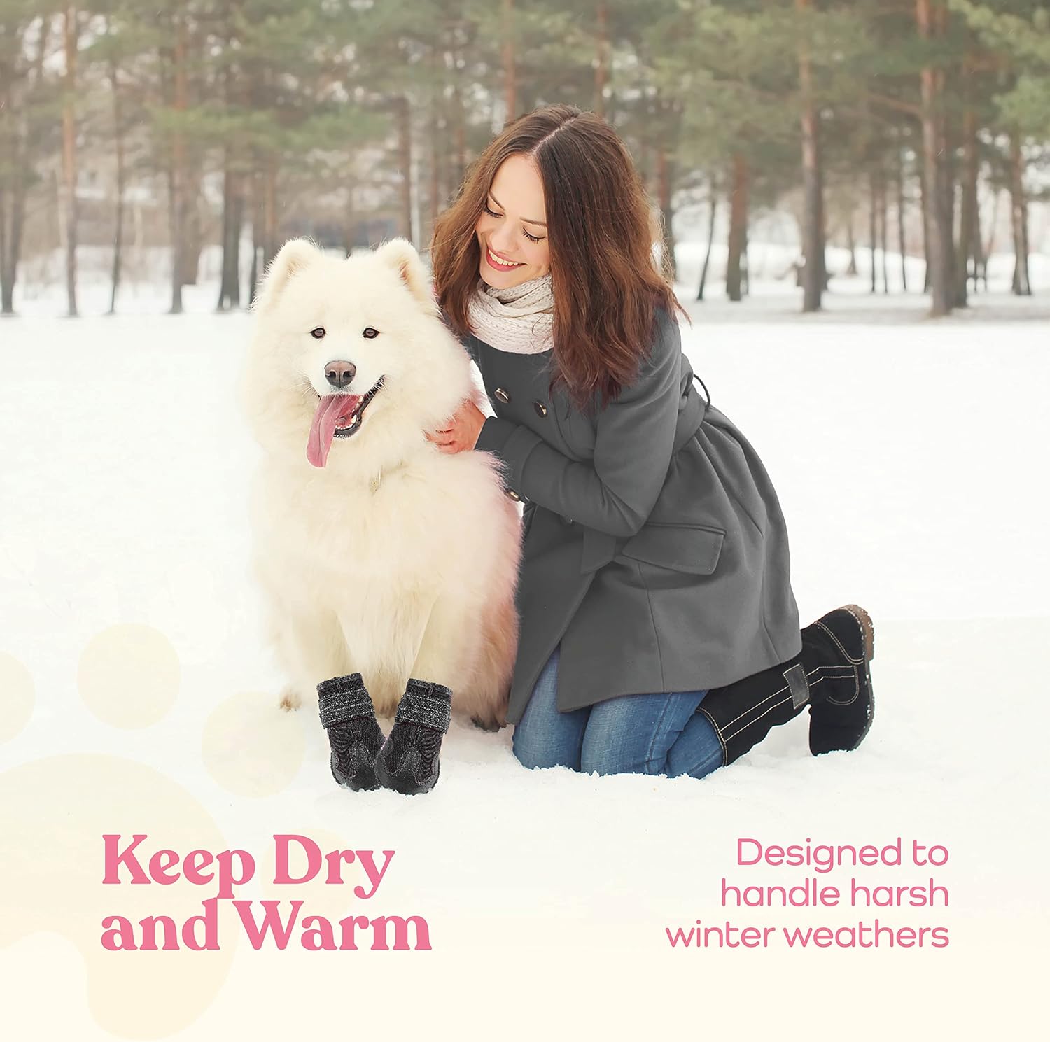 Dog wearing Pitpet waterproof boots for outdoor paw protection