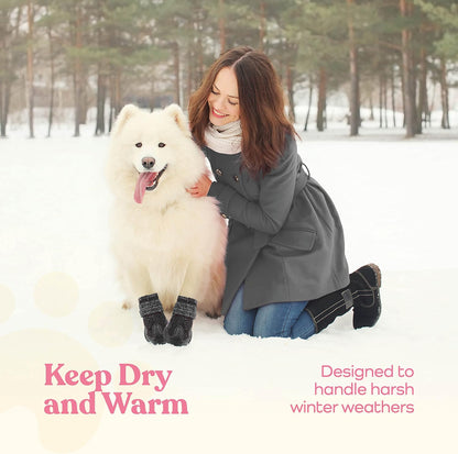 Dog wearing Pitpet waterproof boots for outdoor paw protection