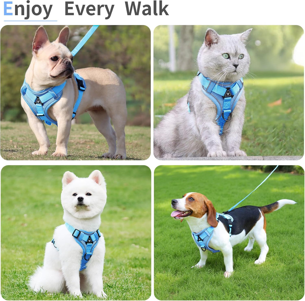Back view of the blue Jolifield pet harness with the three hundred and sixty degree swivel hook leash attached