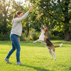 Premium imported USA dog chews for pets under thirty five pounds
