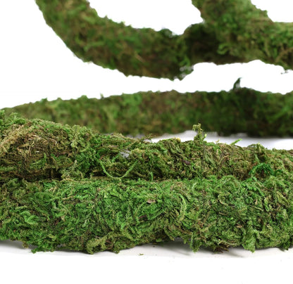 Reptile tank setup with custom moss vine pathways