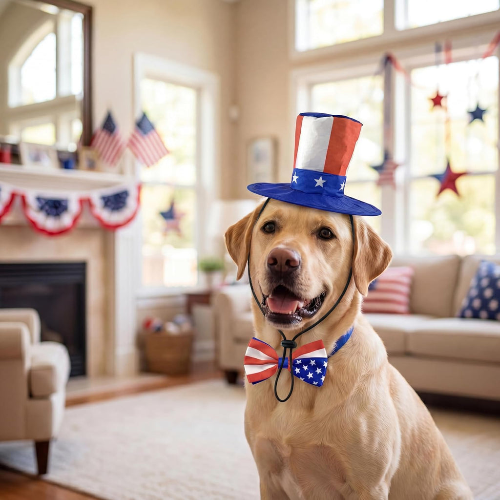 Vehomy stars and stripes dog costume worn by a small cat