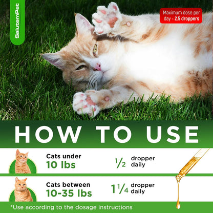 SalutemPet cat wellness supplement ingredients label displaying organic herbs