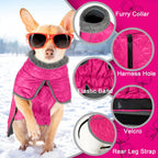 Fragralley windproof puppy clothes showing adjustable elastic abdominal band