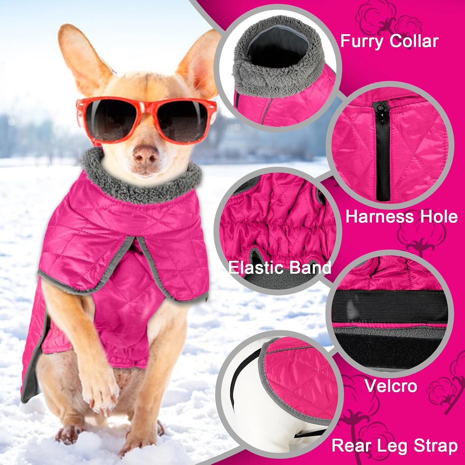 Fragralley windproof puppy clothes showing adjustable elastic abdominal band