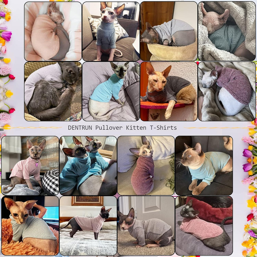 Side profile of Sphynx cat in Dentrun pet apparel