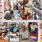 Side profile of Sphynx cat in Dentrun pet apparel