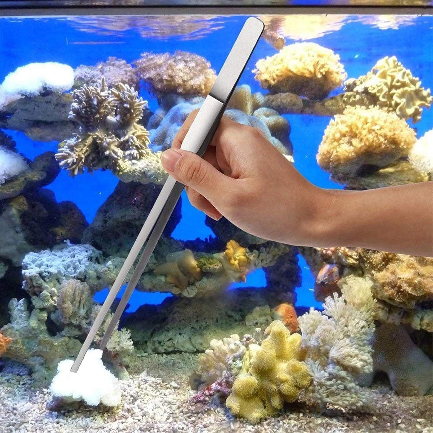 Fistoy premium black velvet drawstring pouch holding the complete four piece aquarium maintenance kit.