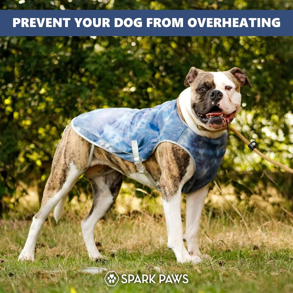 Adjustable straps on Spark Paws dog cooling vest
