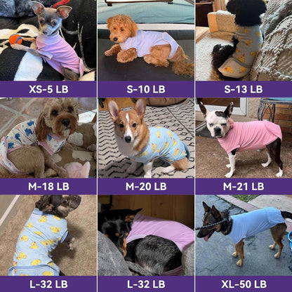 Cyeollo canine postoperative onesie being adjusted on a puppy for spay neuter recovery care