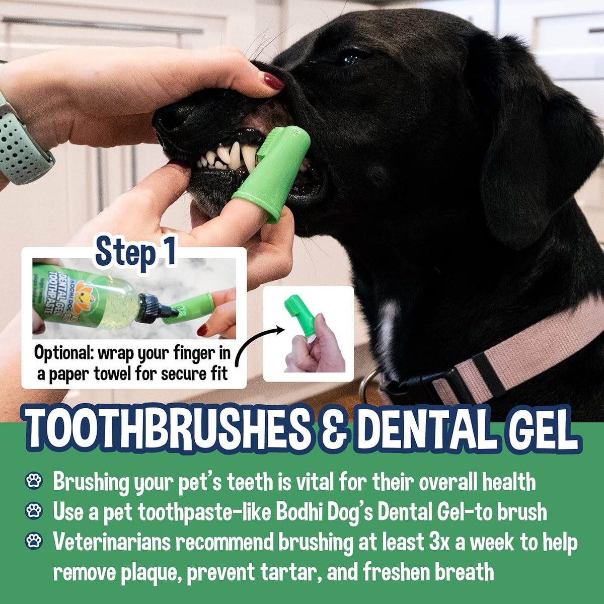 Bodhi Dog disposable puppy and kitten toothbrush pack showing the safe BPA-free silicone material.