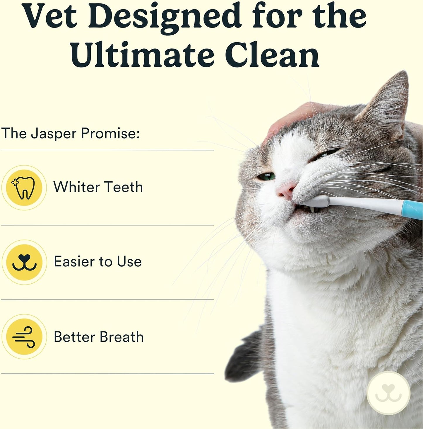 Jasper dental kit for felines and small dogs accessories