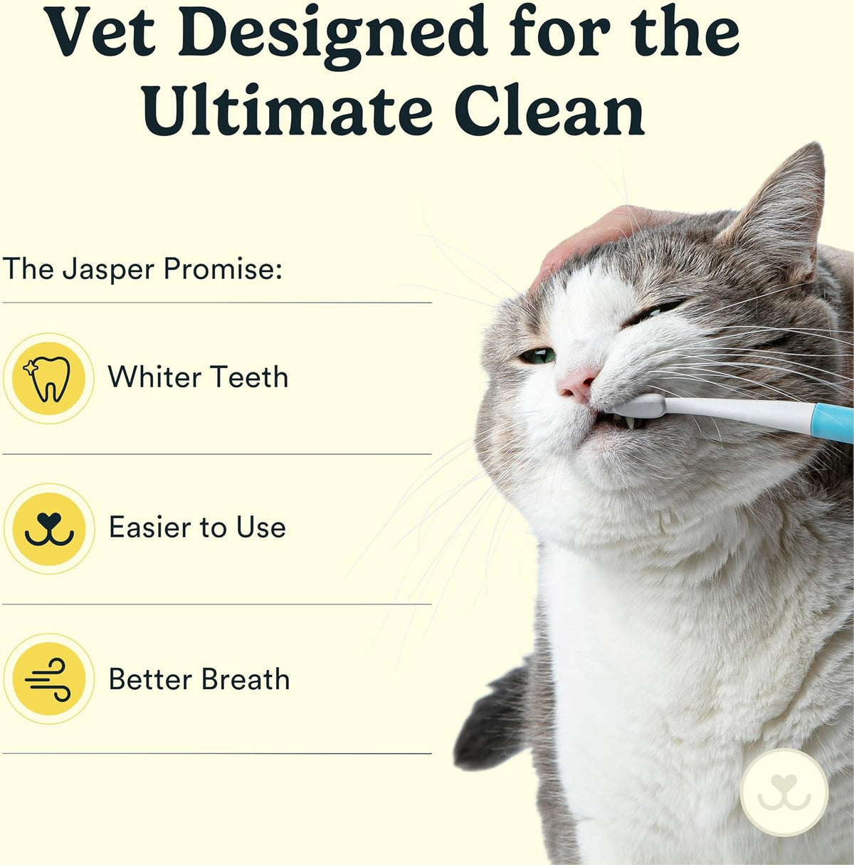 Jasper dental kit for felines and small dogs accessories