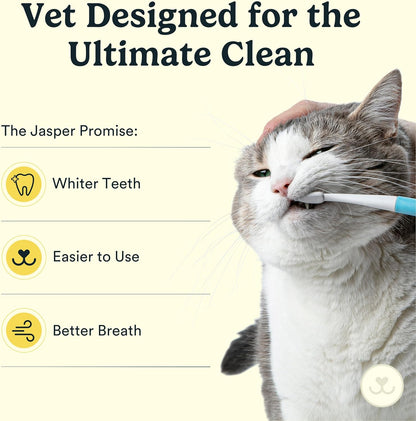 Jasper dental kit for felines and small dogs accessories