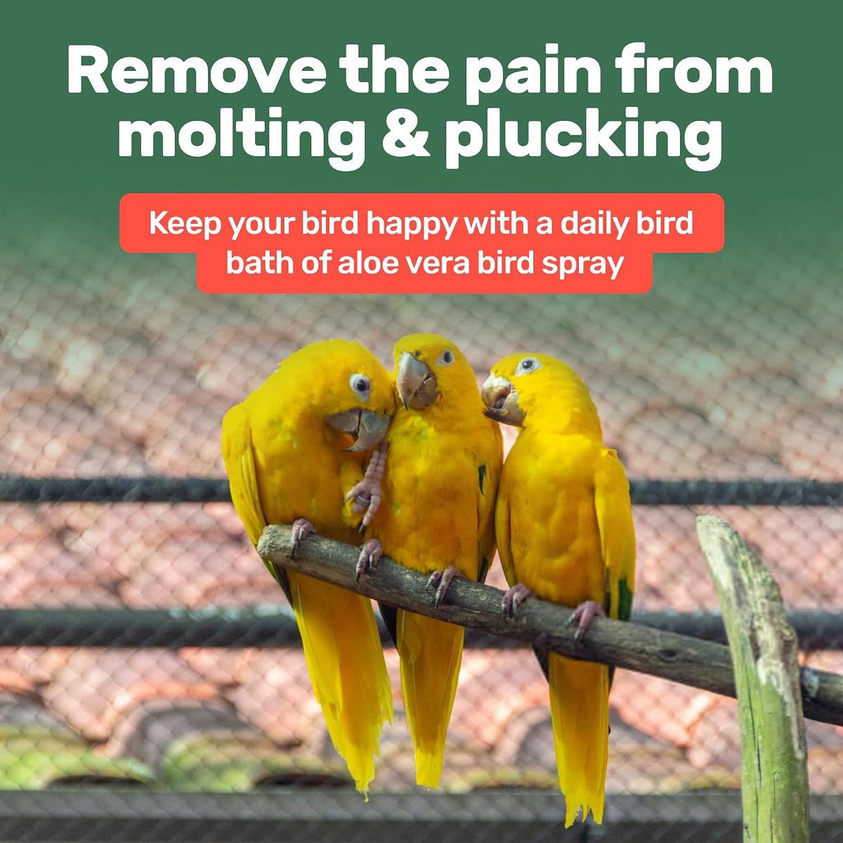 Samorillo bird spray bottle next to a healthy parrot for size reference.