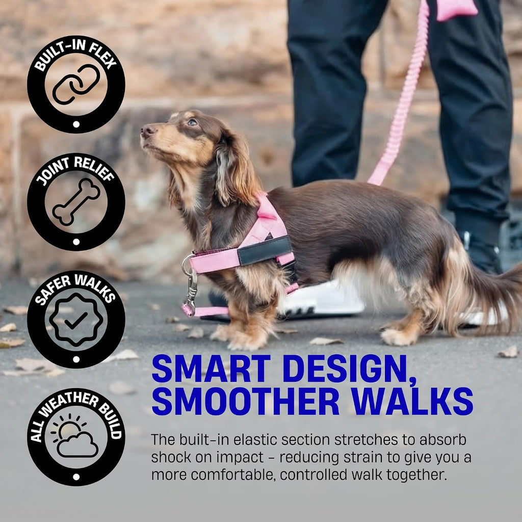 Dog Friendly Co. heavy duty leash illustrating the dual handle traffic control feature for close pet safety.