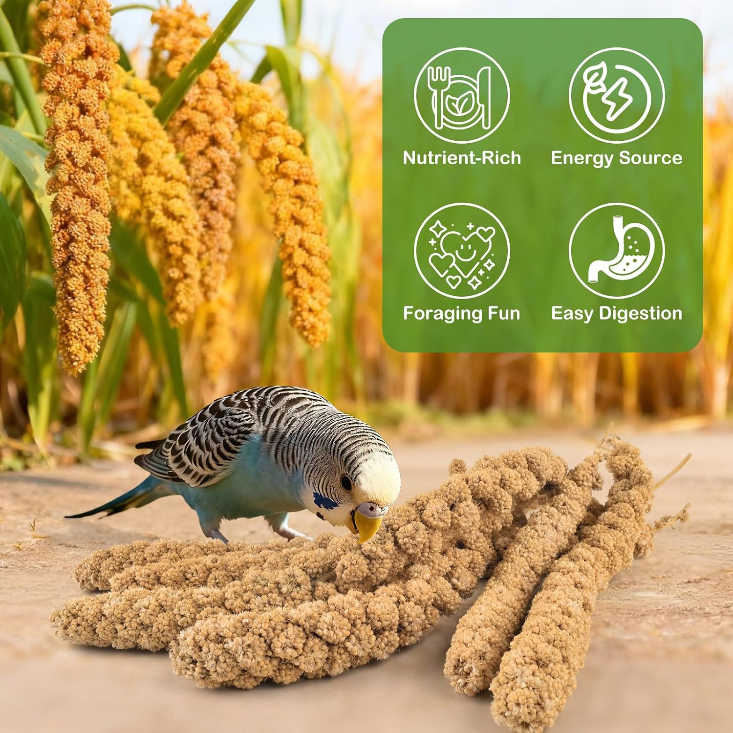 Hand-harvested millet snack for cockatiels and budgies